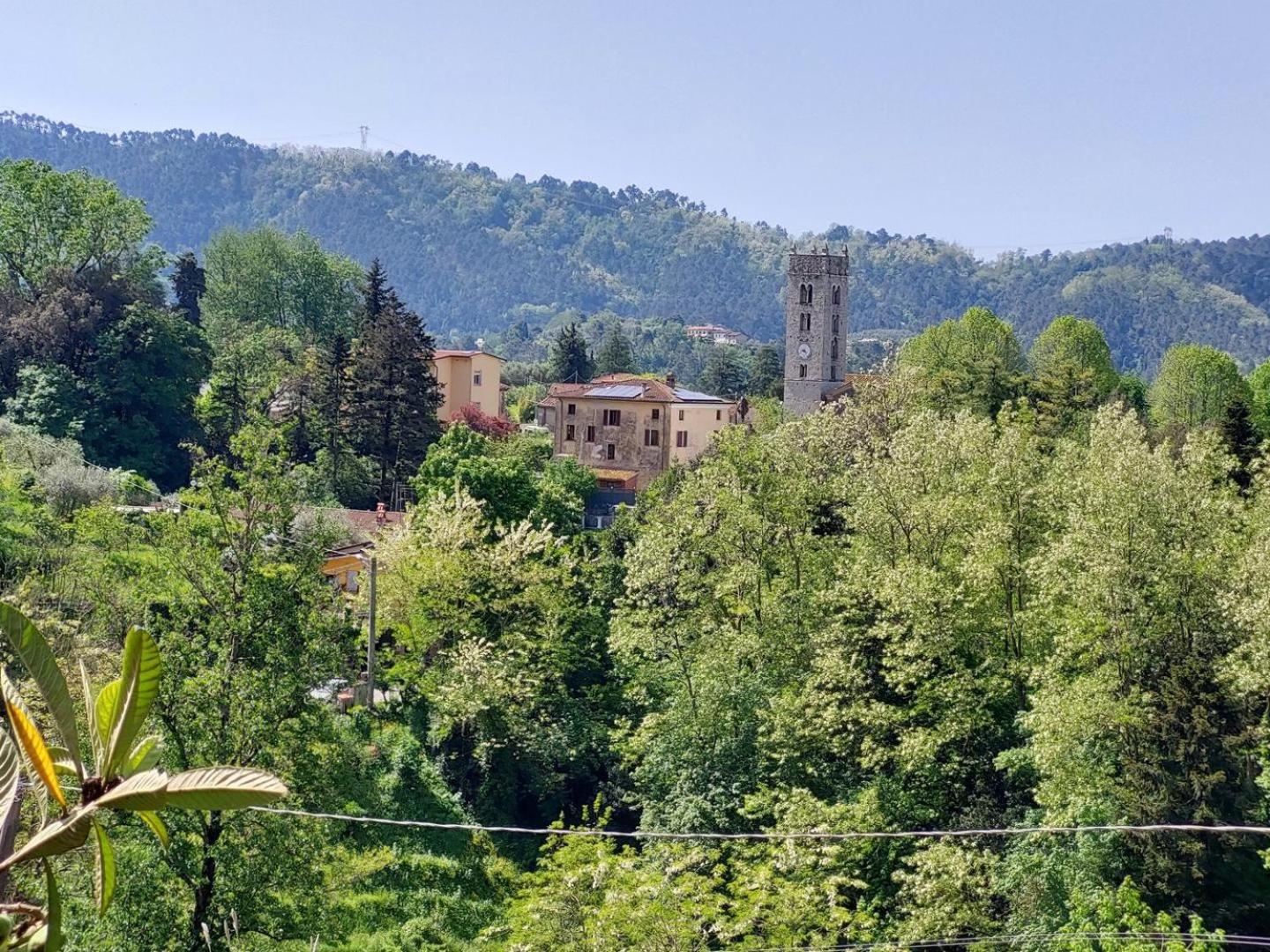 Villa La Pieve Camaiore Bagian luar foto