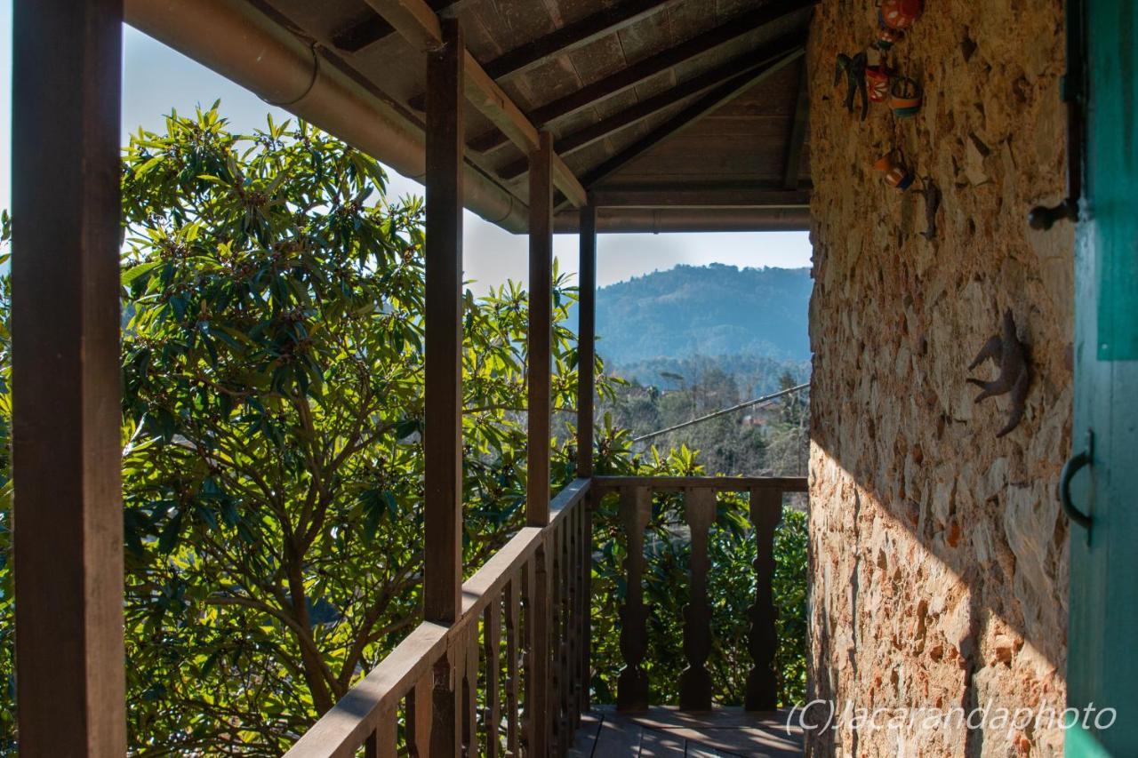Villa La Pieve Camaiore Bagian luar foto